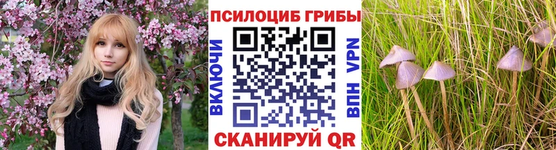 Псилоцибиновые грибы прущие грибы Пересвет