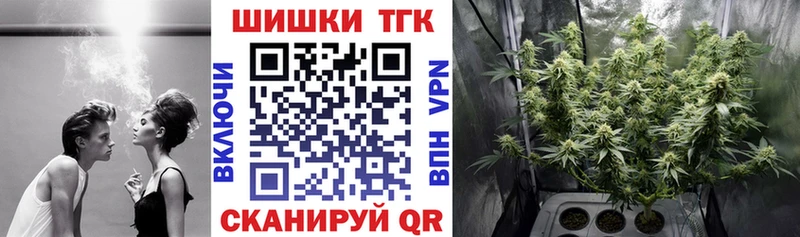 Канабис планчик  Пересвет 